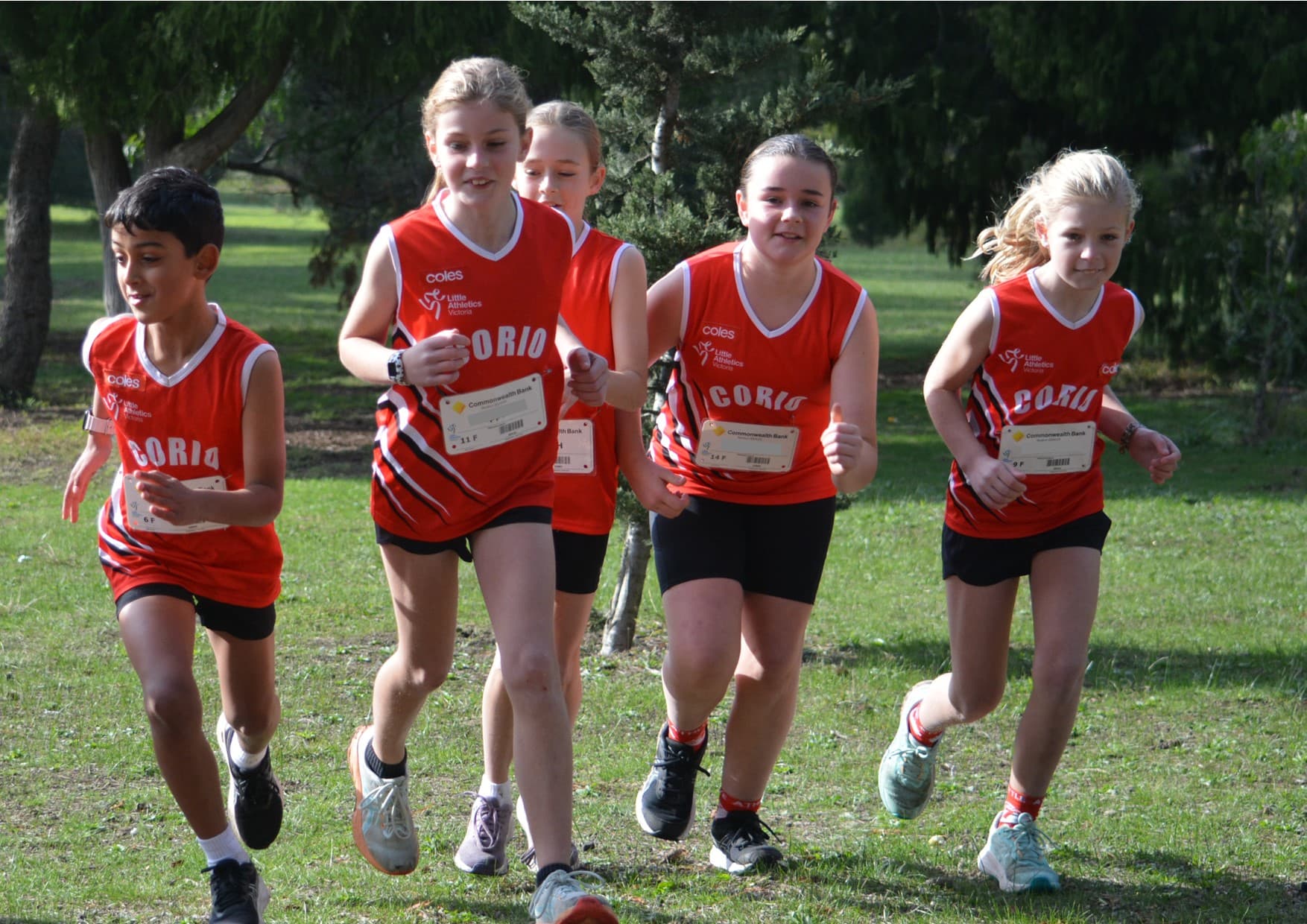 Winter Cross Country