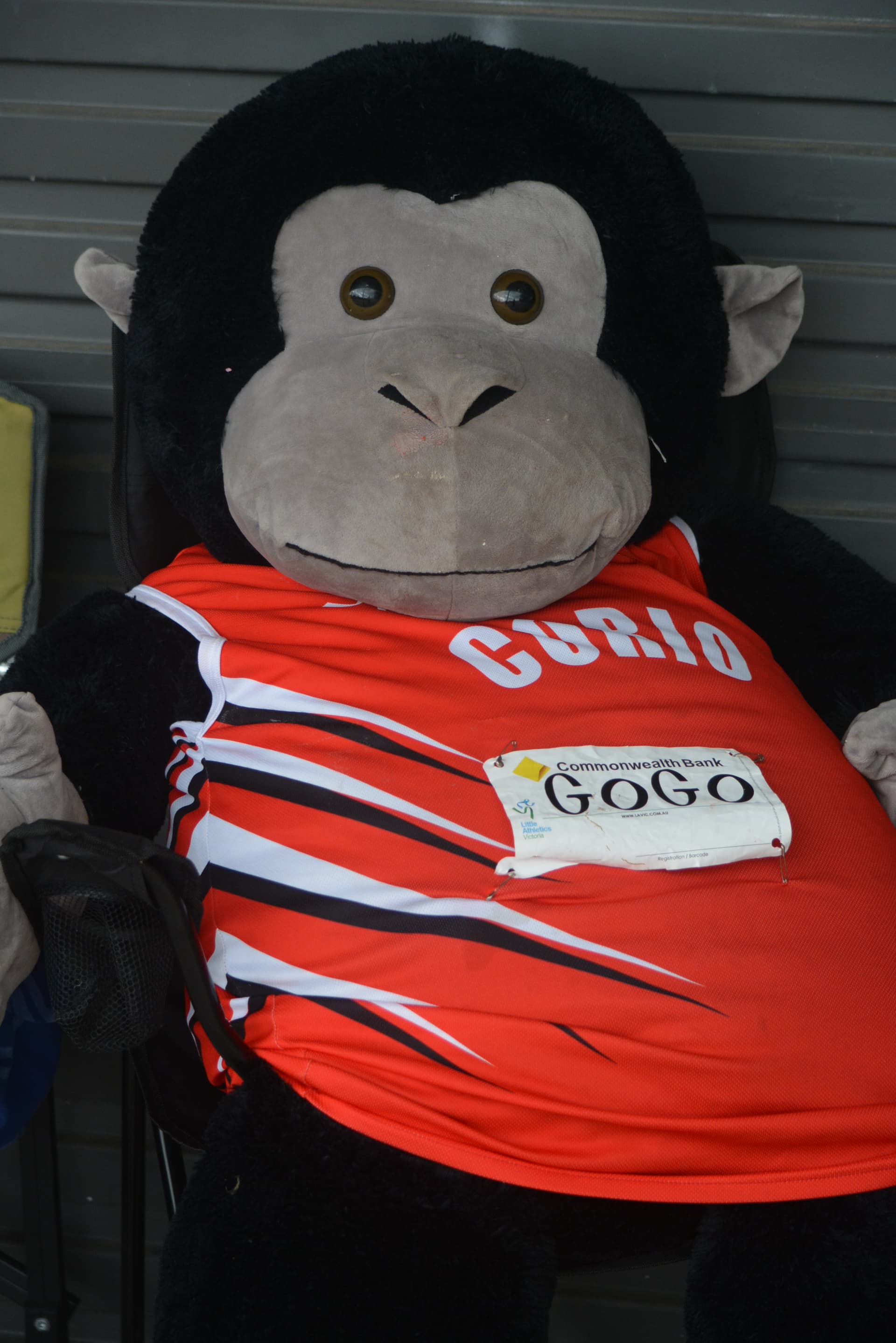 Go Go Centre Mascot